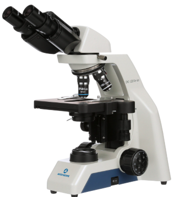 Microscopio